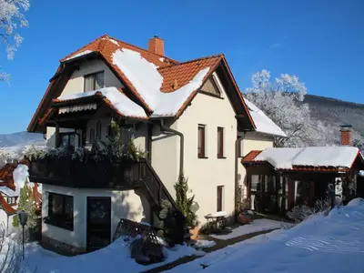 Ferienwohnung für 4 Personen (75 m²) in Frankenblick 5/10