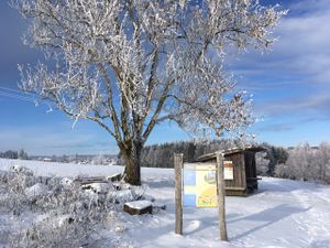 23187941-Ferienwohnung-7-Frankenheim-300x225-5