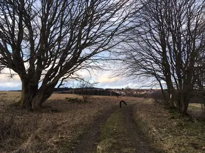 Rhöner Sternenhimmel