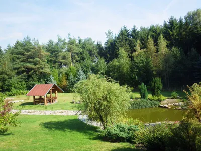 Ferienwohnung für 4 Personen (40 m²) in Františkovy Lázně 9/10
