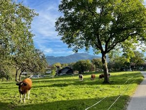 Spaziergänge rund ums Haus 1