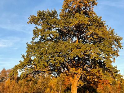 Spaziergänge rund ums Haus 3