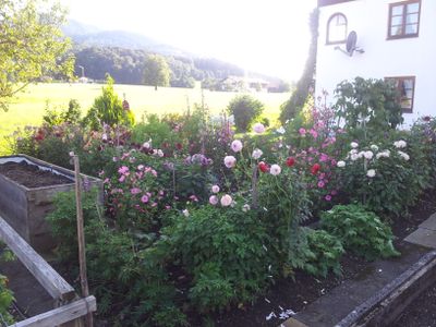 Garten Zottnerhof