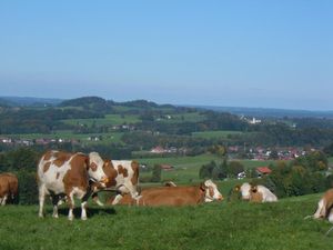 92540-Ferienwohnung-4-Frasdorf-300x225-1