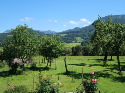 Aussicht auf den Garten