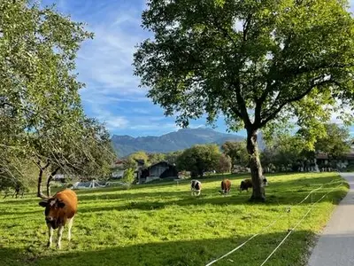 Spaziergänge rund ums Haus 1