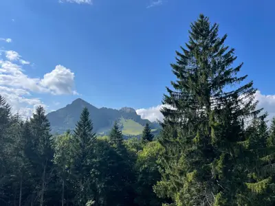 Wanderungen