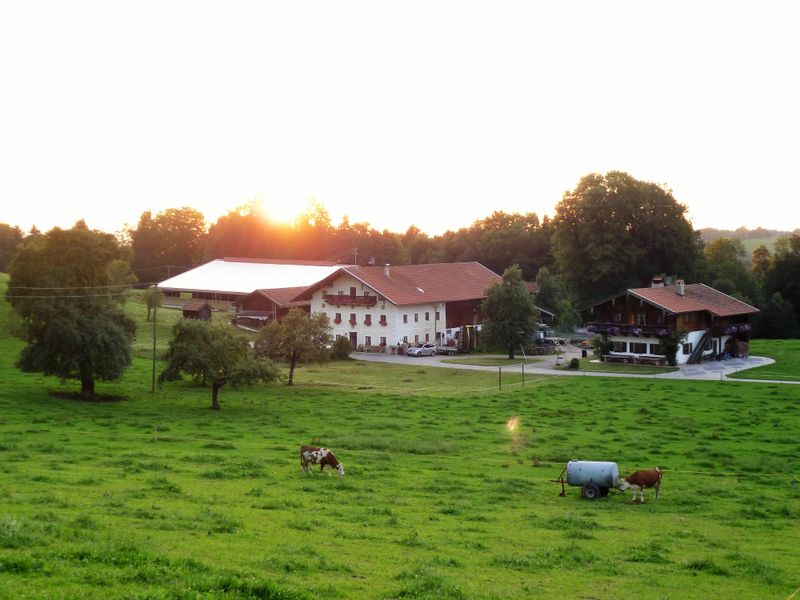 19287583-Ferienwohnung-4-Frasdorf-800x600-1