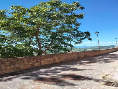 Outdoor