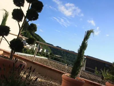 Terrasse. Terrasse