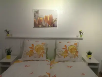 Ferienwohnung für 4 Personen (34 m²) in Freiburg 5/10
