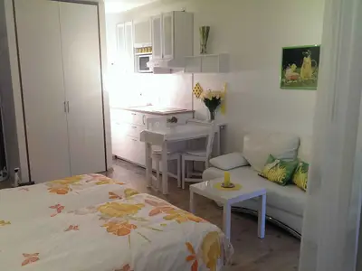 Ferienwohnung für 4 Personen (34 m²) in Freiburg 9/10