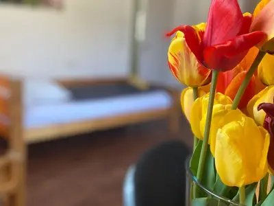 Ferienwohnung für 4 Personen (32 m²) in Freiburg 10/10