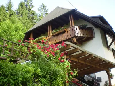 Ferienwohnung für 3 Personen (30 m²) in Freiburg im Breisgau 1/10