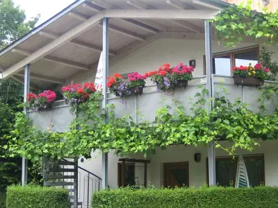 Ferienwohnung für 5 Personen (55 m²) in Freiburg 2/10