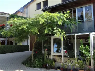 Ferienwohnung für 5 Personen (55 m²) in Freiburg 8/10