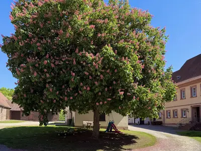 Innenhof