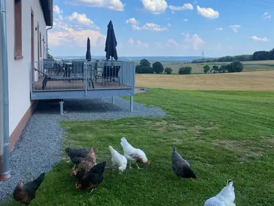 Ausblick von den Terrassen