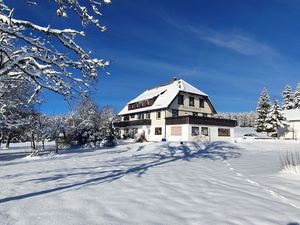 21683499-Ferienwohnung-2-Freudenstadt-300x225-5