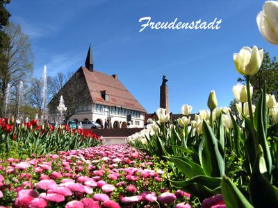 Ferienwohnung für 2 Personen (75 m²) in Freudenstadt 5/10