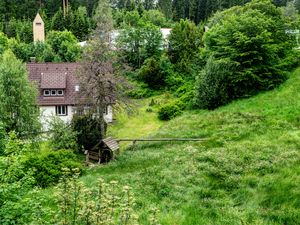 23481922-Ferienwohnung-3-Freudenstadt-300x225-4