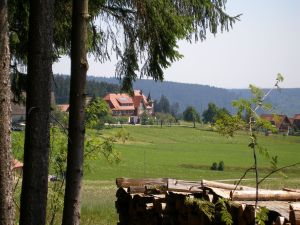 19037936-Ferienwohnung-4-Freudenstadt-300x225-4