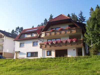 Ferienwohnung für 3 Personen (50 m²) in Freudenstadt 3/10