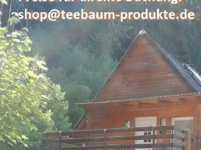 Ferienwohnung für 6 Personen (70 m²) in Freudenstadt 1/10