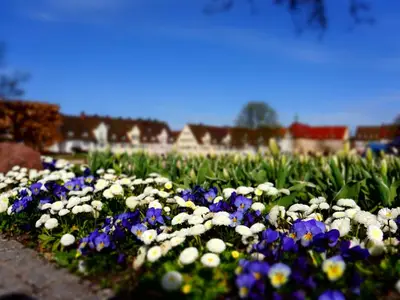 Ferienwohnung für 3 Personen (67 m²) in Freudenstadt 2/10