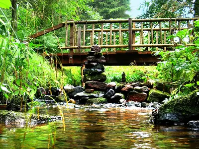 Ferienwohnung für 2 Personen (25 m²) in Freudenstadt 1/10