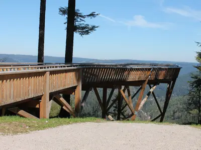 Ferienwohnung für 5 Personen (50 m²) in Freudenstadt 1/10