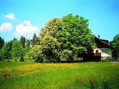 Ferienwohnung für 4 Personen (50 m²) in Freudenstadt 2/10