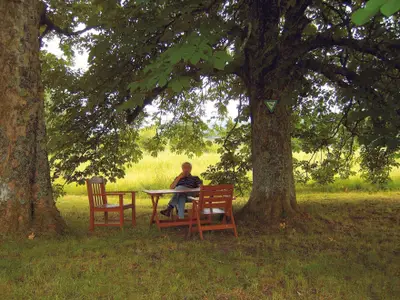 Ferienwohnung für 4 Personen (50 m²) in Freudenstadt 6/10