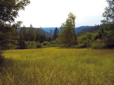 Ferienwohnung für 4 Personen (50 m²) in Freudenstadt 8/10