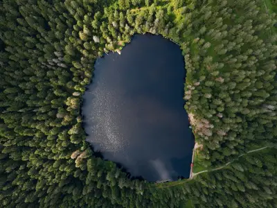 Ferienwohnung für 4 Personen (50 m²) in Freudenstadt 10/10
