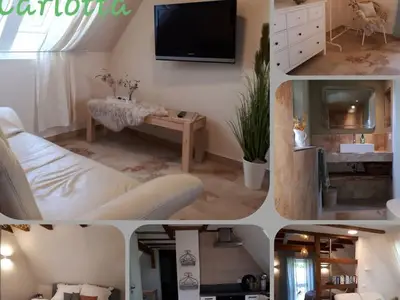 Ferienwohnung für 3 Personen (45 m²) in Freyburg (Unstrut) 7/10