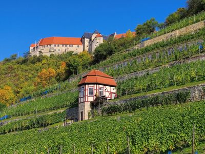 Blick auf Neuenburg