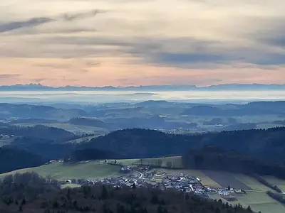 Ausblick