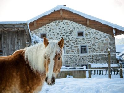 Winterwunderland