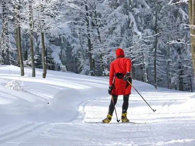 AreaWinter5KM