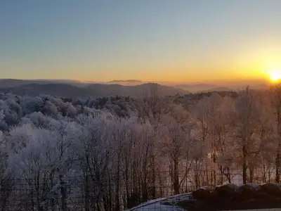 Ausblick vom Balkon