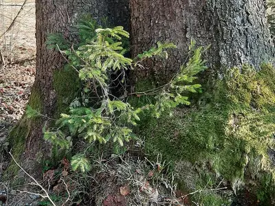 Ferienwohnungen Adria im Ferienpark Geyersberg