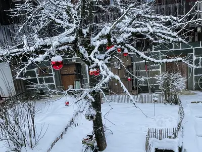 Blick in den Hofgart