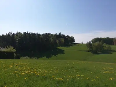 Angrenzende Felder und Wiesen