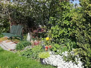 Ferienwohnung für 4 Personen (61 m²) in Friedenfels