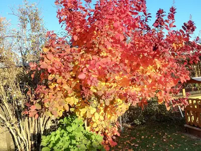 Ferienwohnungen Familie Petrik