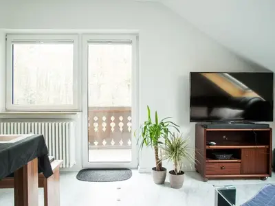 Ferienwohnung für 4 Personen (44 m²) in Friedenweiler 3/10