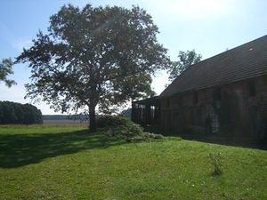 Ferienwohnung für 4 Personen in Friedland (Brandenburg)