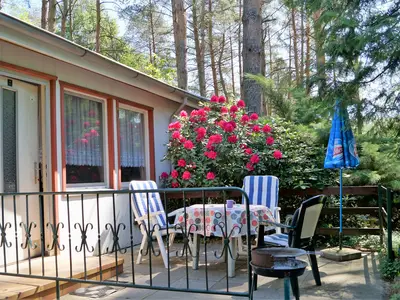 Ferienwohnung für 5 Personen (45 m²) in Friedland (Brandenburg) 1/9