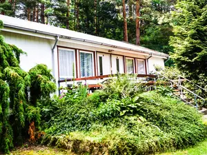 Ferienwohnung für 5 Personen (45 m²) in Friedland (Brandenburg)